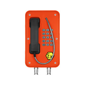 Ein guter Preis. NIPPEN Sie an dem explosionssicheren gefährlichen Bereichs-Telefon PoE, das von der Gas-Gruppe IIB/IIA Befugnis ist Online